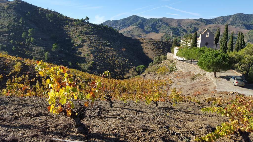 Penzion Casa Vella Del Panta Riudecanyes Exteriér fotografie