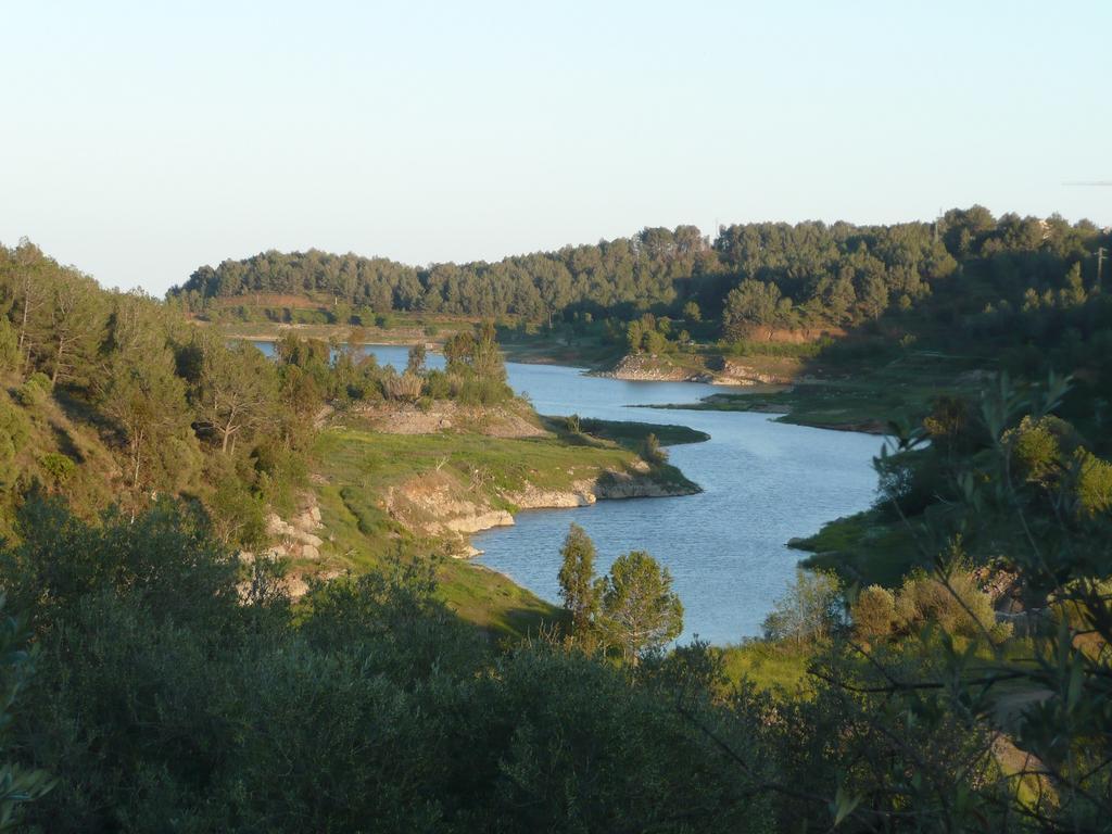Penzion Casa Vella Del Panta Riudecanyes Exteriér fotografie